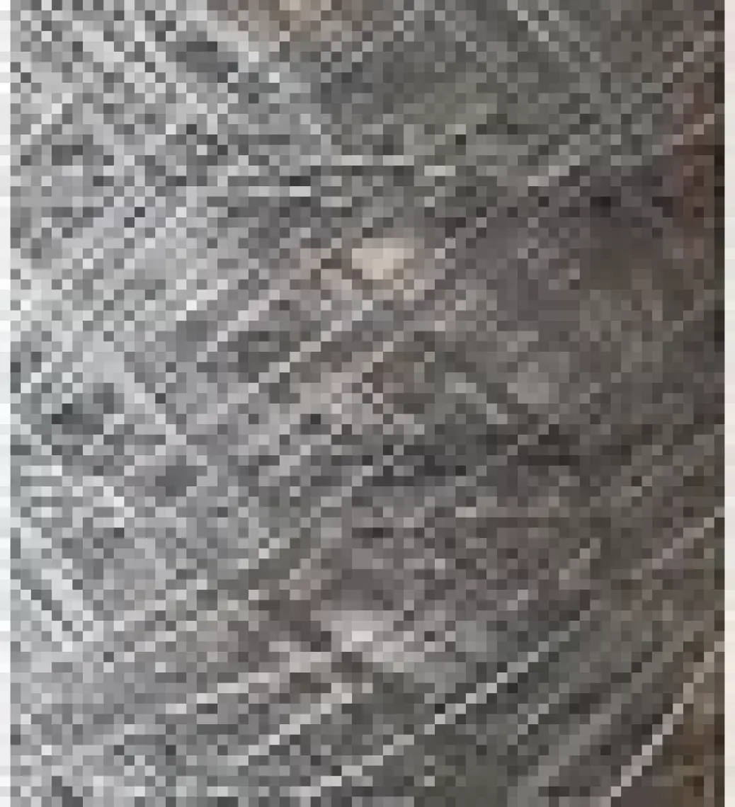 Ticaretjet 1 x 20 Metre Bahçe Tel Örgü Bahçe Çiti Çevirme Seti