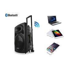 Mikado MD-86KP V1 30W USB/BT/TF/TWS Kablosuz Mikrofonlu Toplantı-Parti Hoparlör