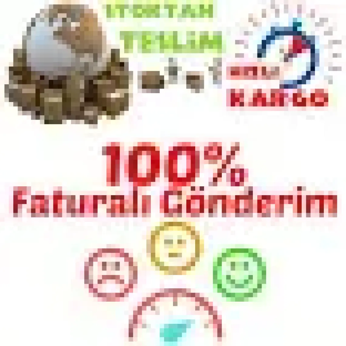 E-fidancim Nadir Siyah Goji Berry Fidanı (Sınırlı Stok)
