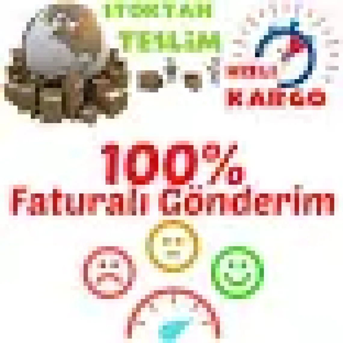 E-fidancim Tüplü Aromatik Melissa(Parfüm Çiçeği) Fidanı