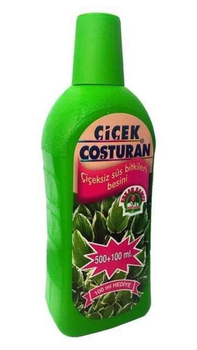 Çiçek Coşturan 1200 Çiçeksiz Süs Bitkileri İçin