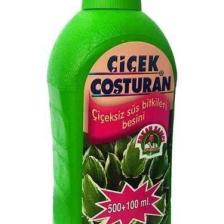 Çiçek Coşturan 1200 Çiçeksiz Süs Bitkileri İçin