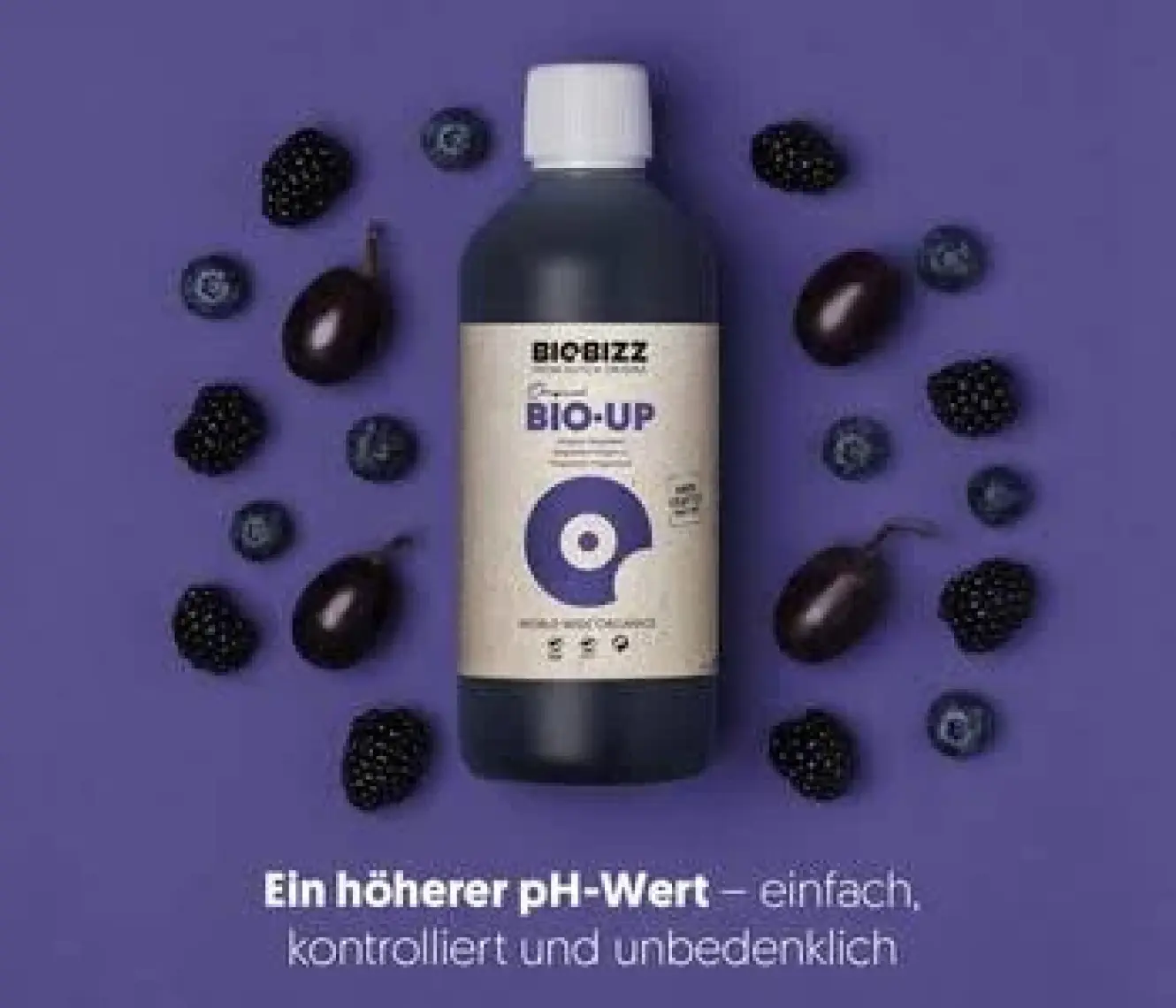 Biobizz Bio Ph Up 250 ml