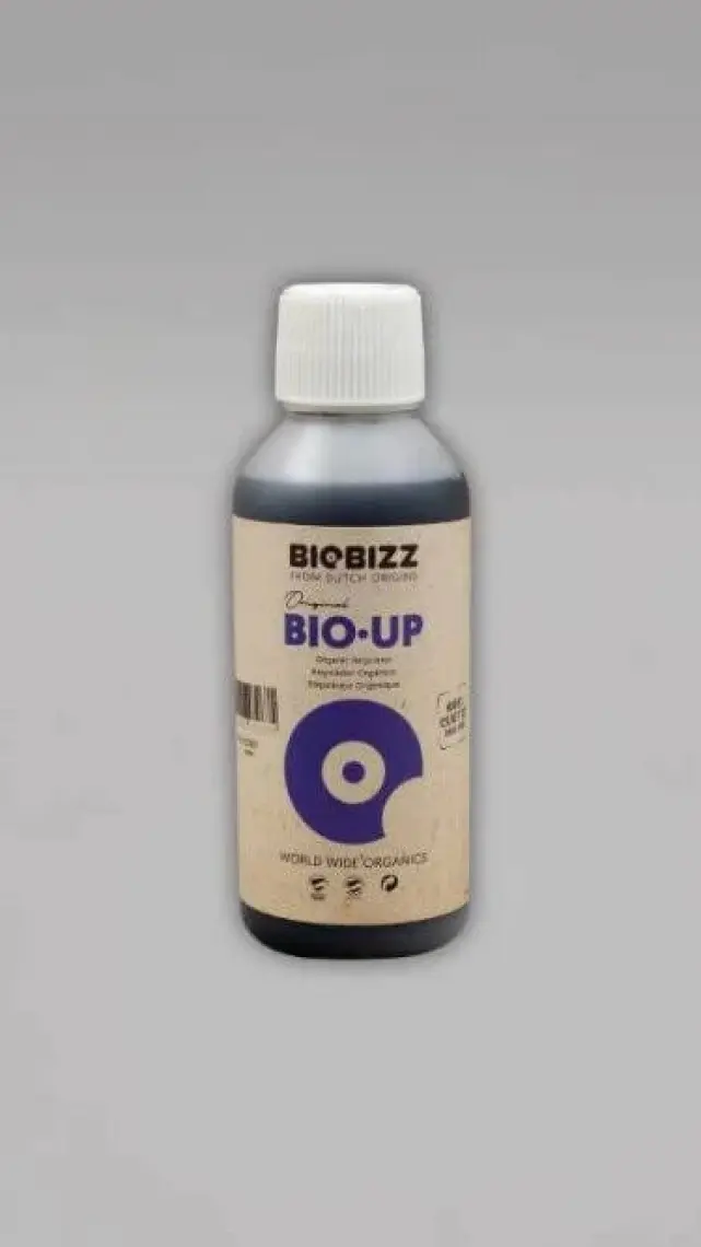 Biobizz Bio Ph Up 250 ml