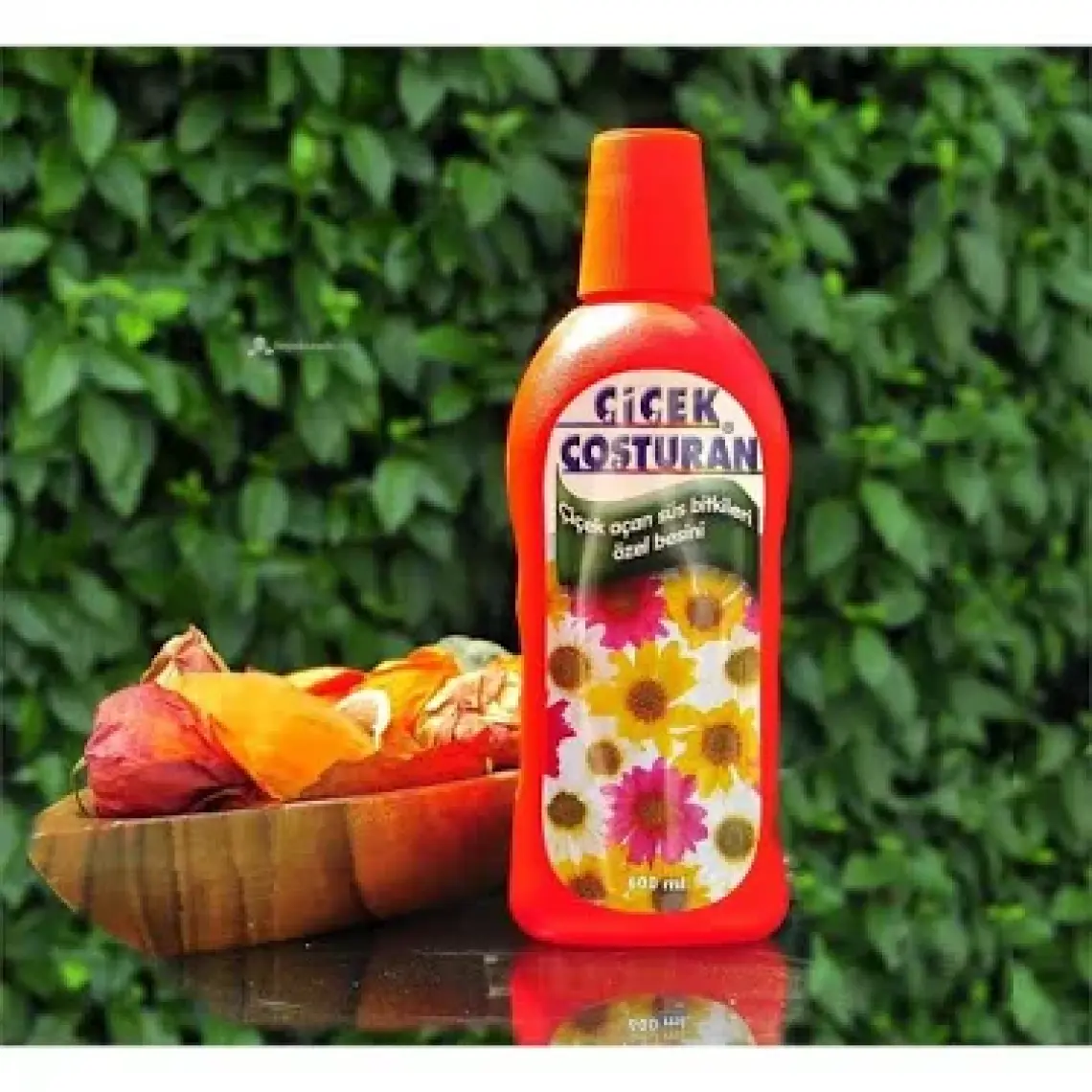 Çiçek Coşturan 1300 Çiçek Açan Süs Bitkileri İçin