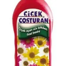 Çiçek Coşturan 1300 Çiçek Açan Süs Bitkileri İçin