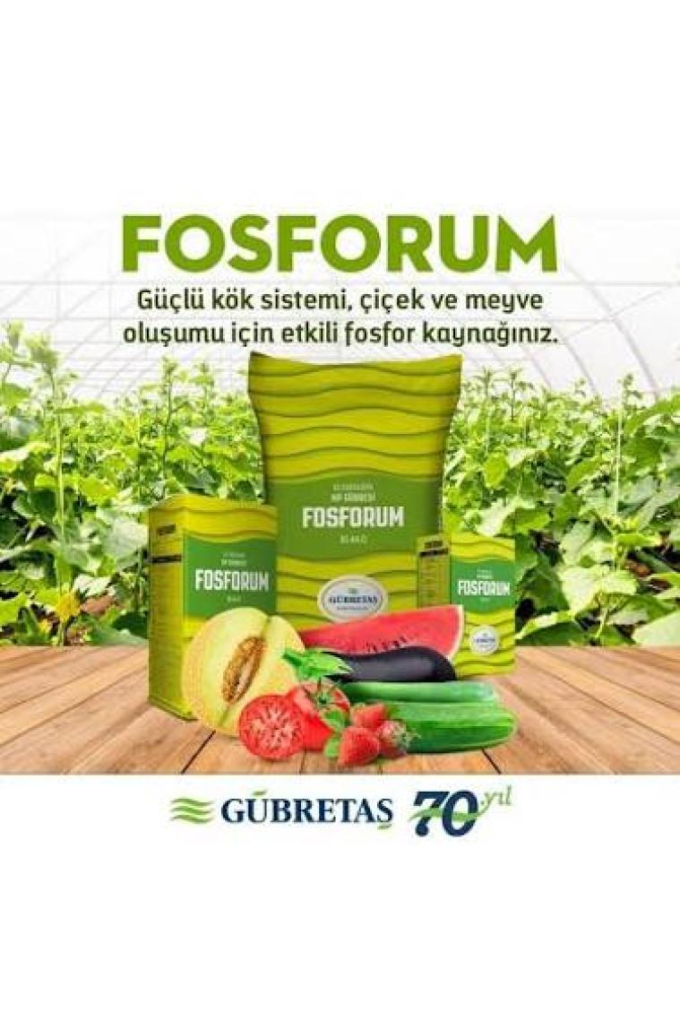 Gübretaş Fosforum 18.44.0 25 Kg