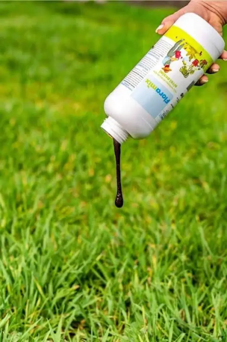 Floramix Yeşil Yapraklı Bitkiler Için Bitki Besini 1 Litre