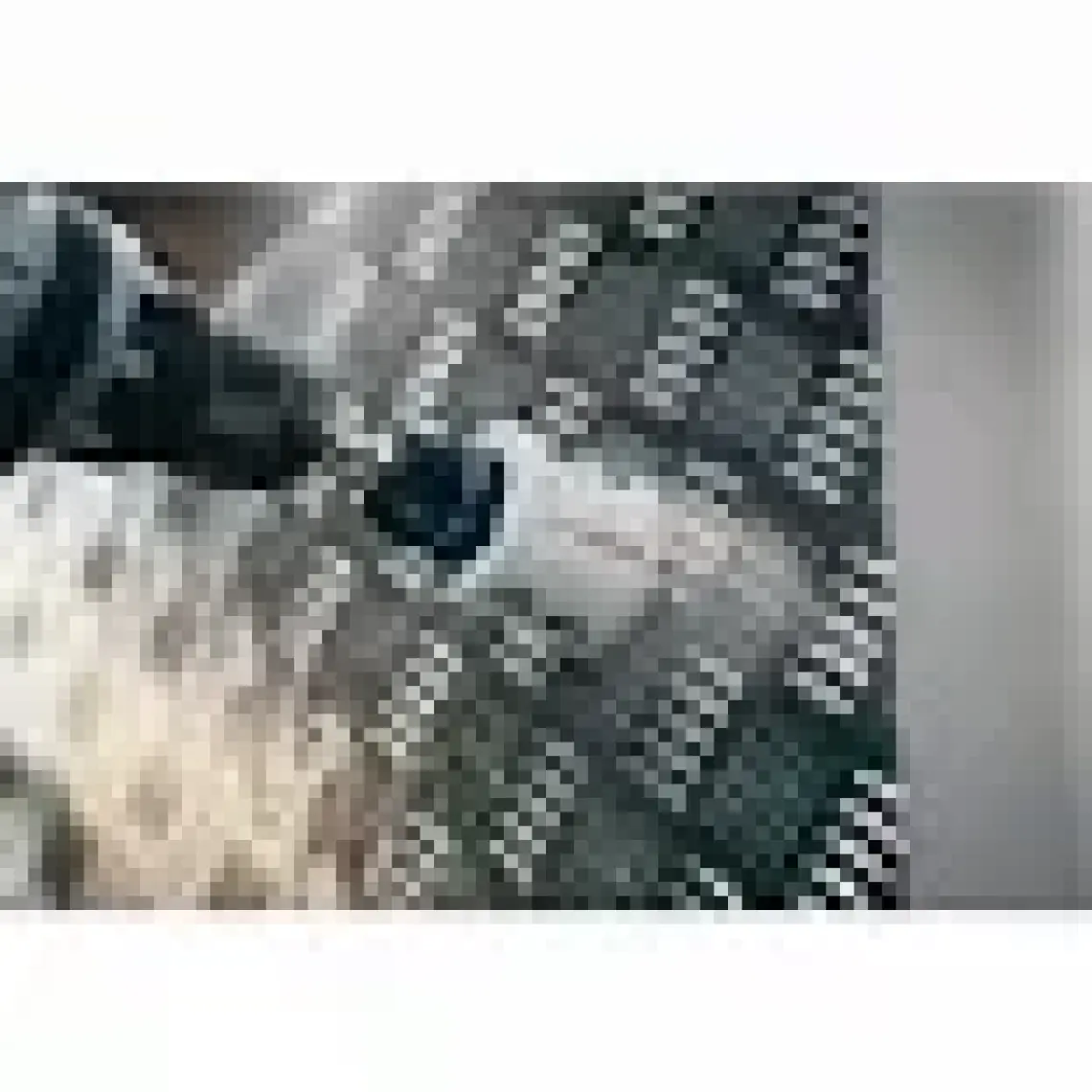 Bosch - Yeni Progressor Serisi Ahşap ve Metal Için Delik Açma Testeresi (Panç) 68 mm