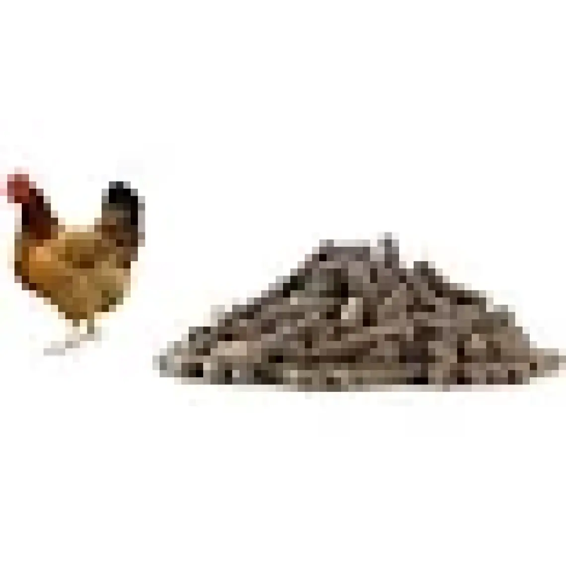 Naturel 1 kg Organik Tavuk Gübresi