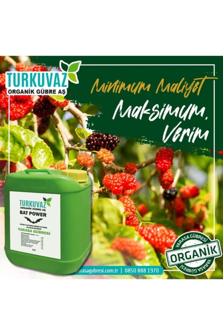 Turkuvaz Organik Bat Power Mikron Toz Yarasa Gübresi 1 Kg.