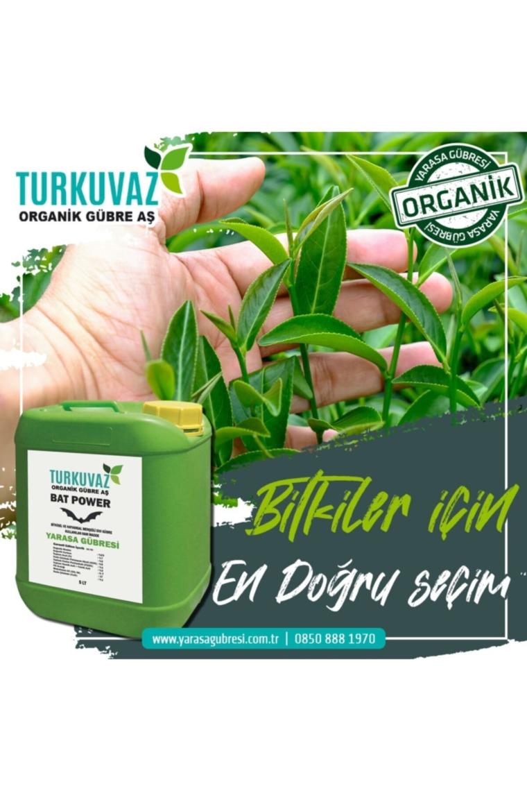 Turkuvaz Organik Bat Power Mikron Toz Yarasa Gübresi 1 Kg.