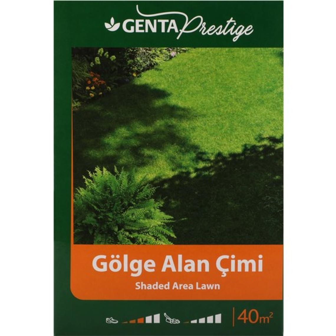 Genta Prestige Gölge Alan Çim Tohumu 1 kg