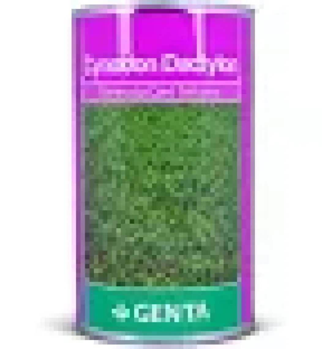 Genta Cynodon Dactylon 500 Gr