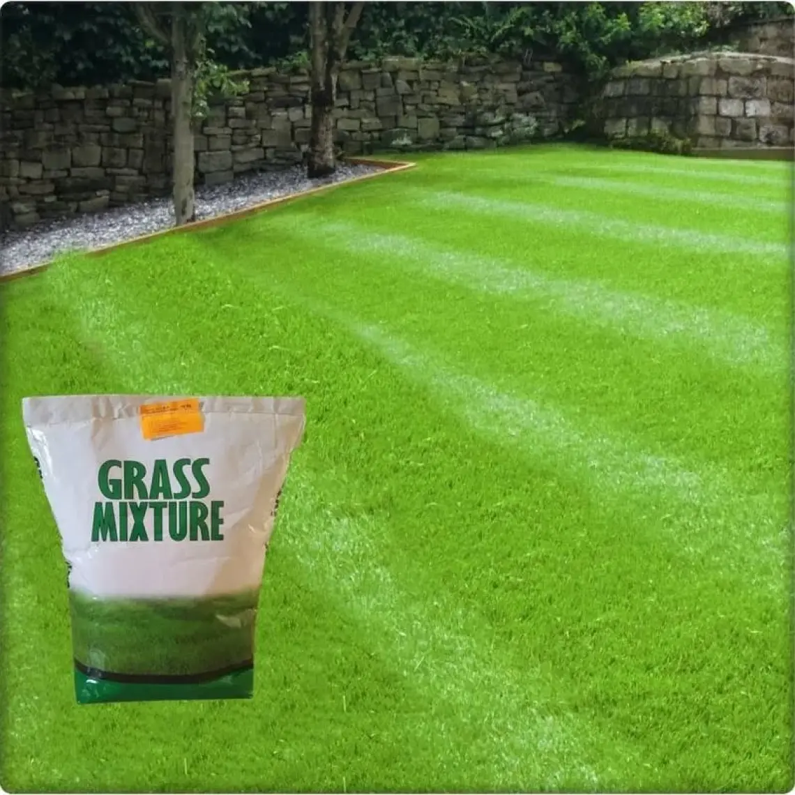 Tarım Evim 6 Farklı Çim Tohumu Karışımı  Galaxy Grassmixture