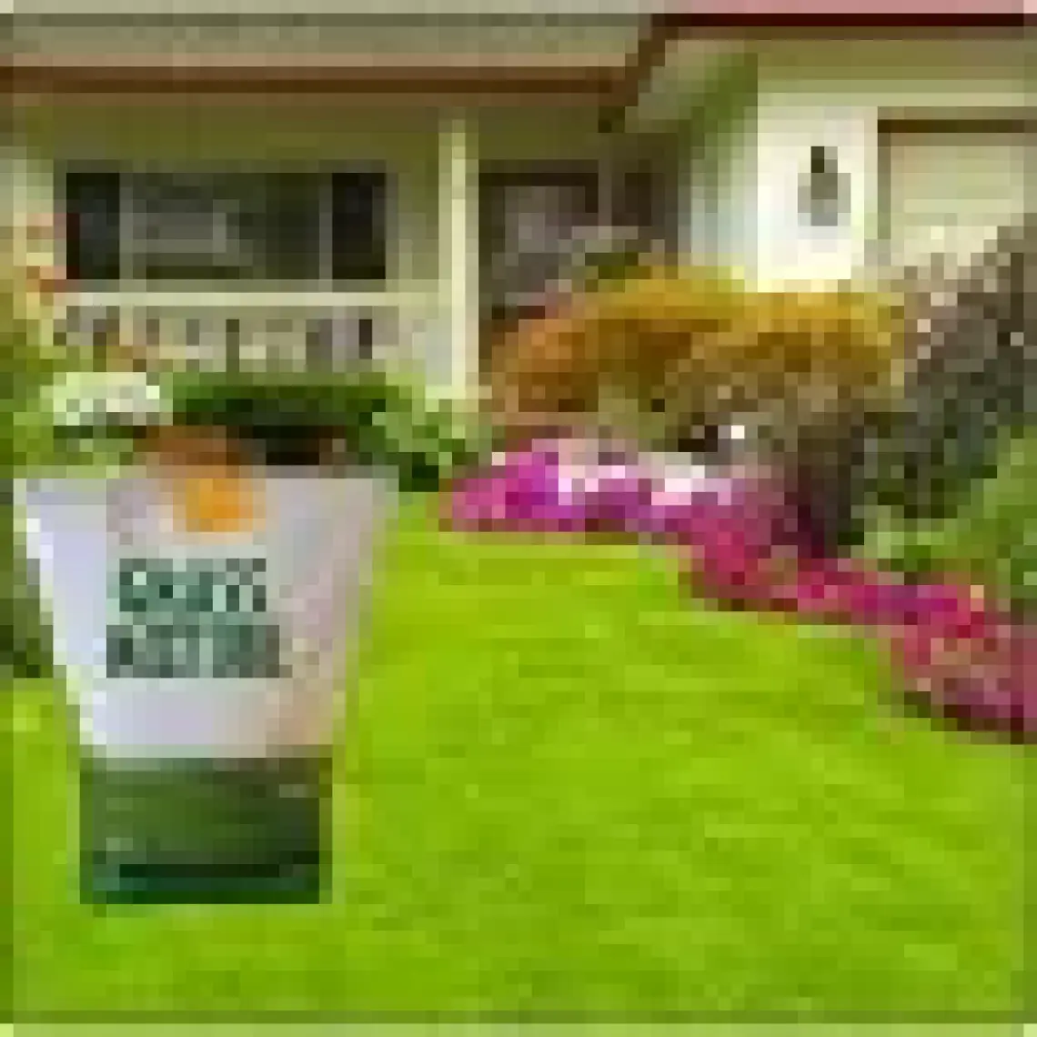 Tarım Evim 6 Farklı Çim Tohumu Karışımı  Galaxy Grassmixture