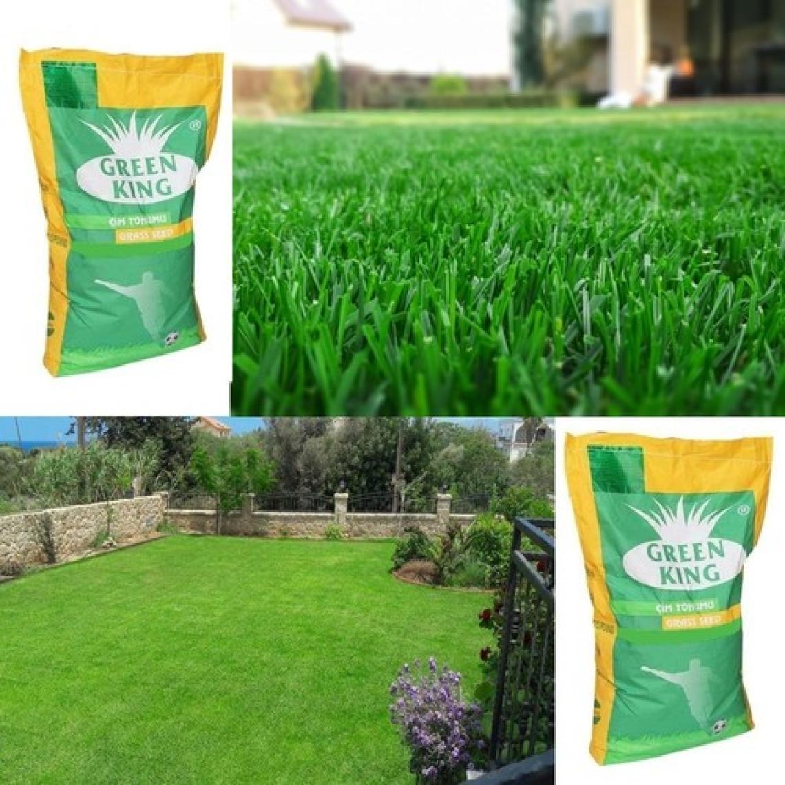 Green King 7 Li Karışım Çim Tohumu 10 kg Ithal