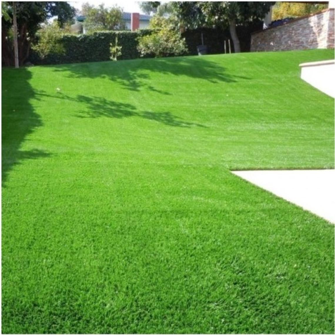 Green King 7 Li Karışım Çim Tohumu 10 kg Ithal