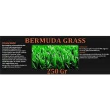 Tarım Evim Bermuda Çimi Tohumu (Kurak ve Susuz Alanlara Özel)