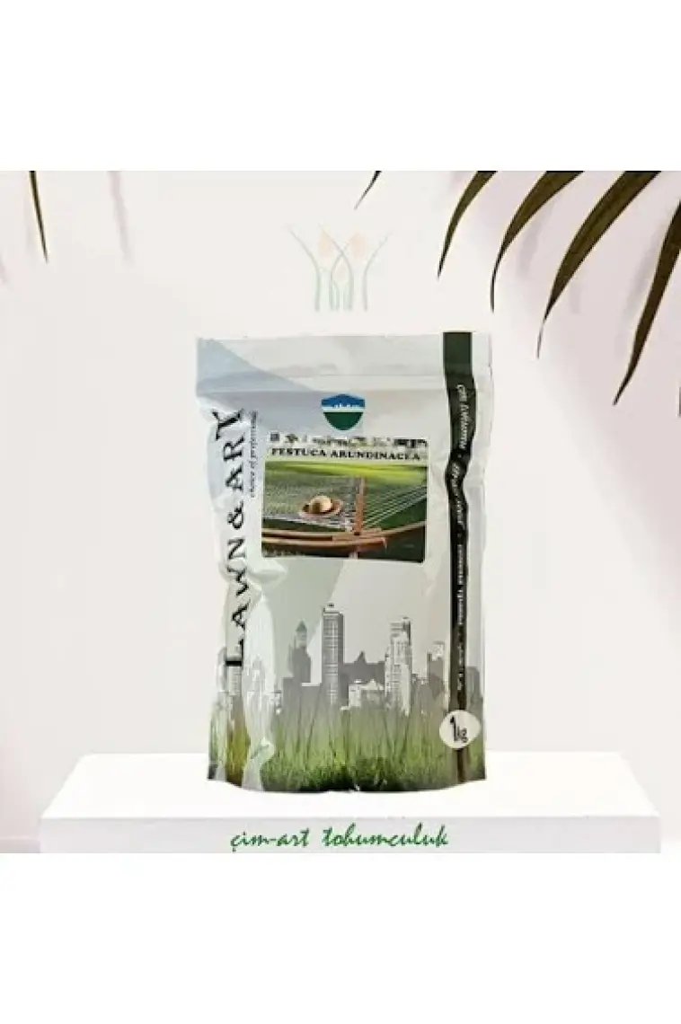 Çim-Art Festuca Arundınacea 1 kg
