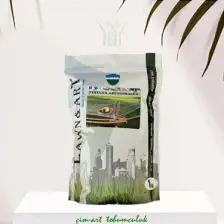 Çim-Art Festuca Arundınacea 1 kg
