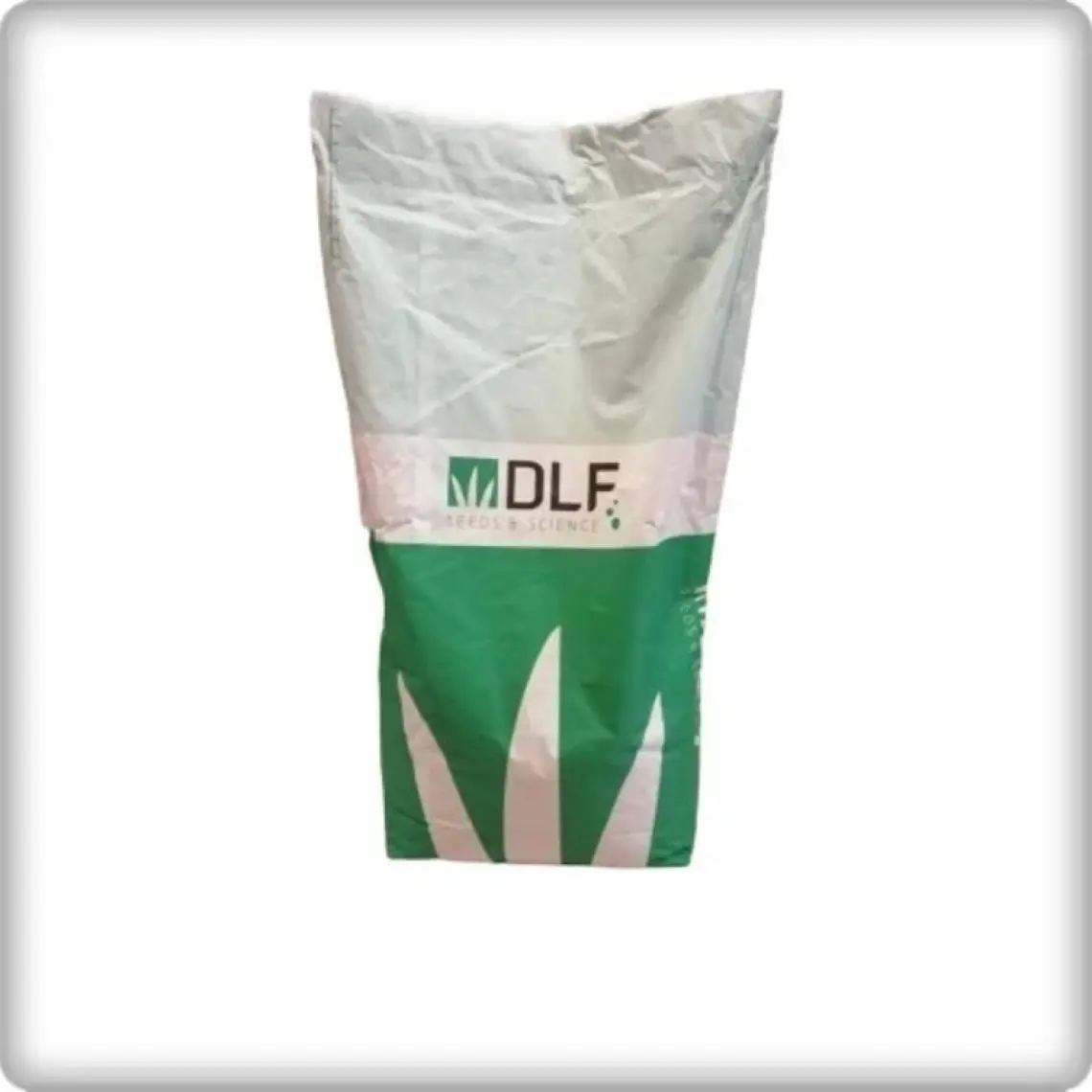 DLF Fare Kulağı Tohumu-Dichondra Repens-Gölge Alanlar