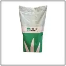 DLF Fare Kulağı Tohumu-Dichondra Repens-Gölge Alanlar
