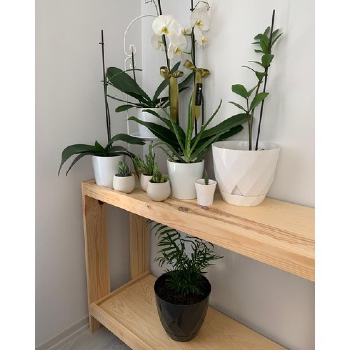O&A Wood Masif Saksı Standı, 2 Katlı Ahşap Çiçeklik