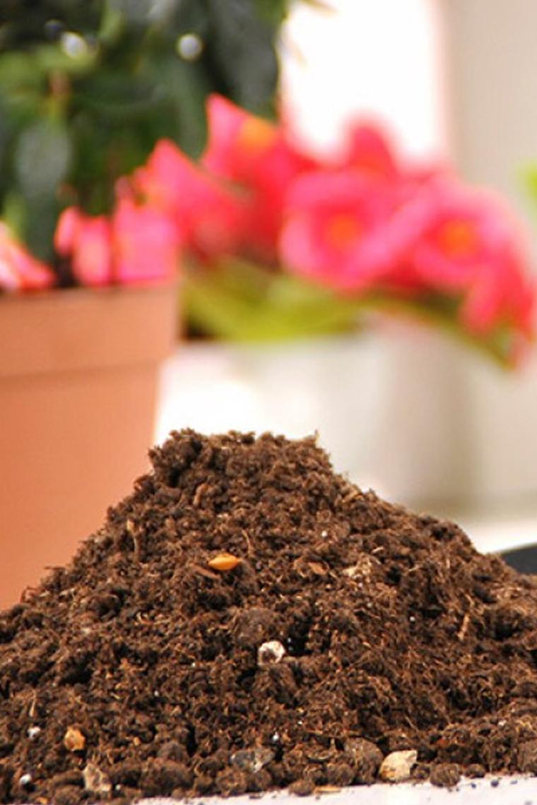 Green Life Bitki Toprağı, Fideleme ve Çiçek Toprağı Torf 20 lt