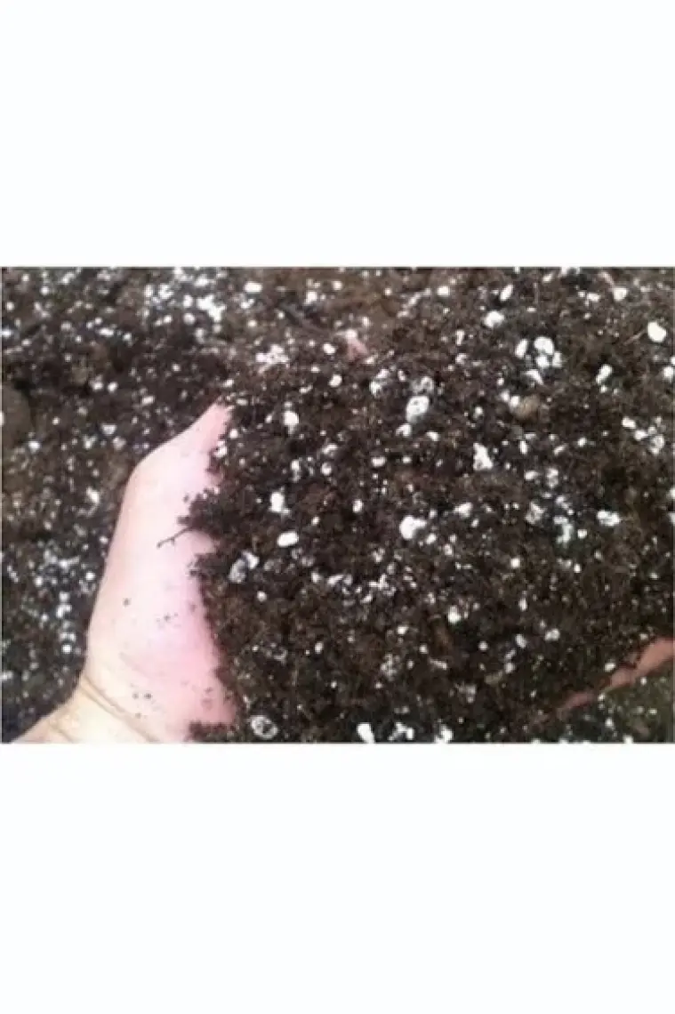 ilpasol Torfsoil 6 Mix Karışımlı Saksı ve Çiçek Toprağı 25 kg Dikim Harcı Fide Fidan Tohum Çimlendirme