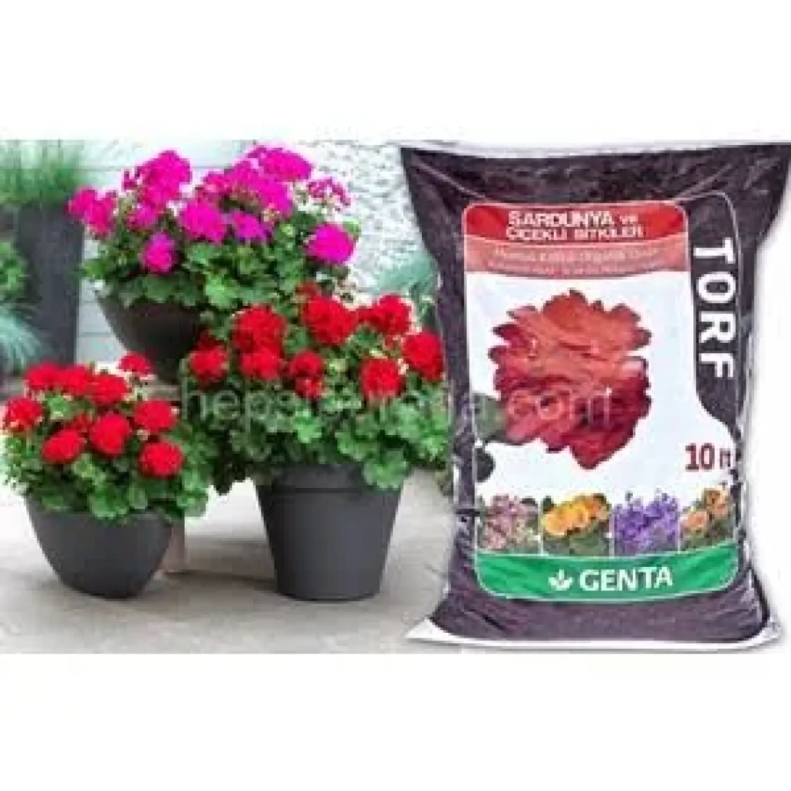 Genta Sardunya ve Çiçekli Bitkiler İçin Torf 10 lt.