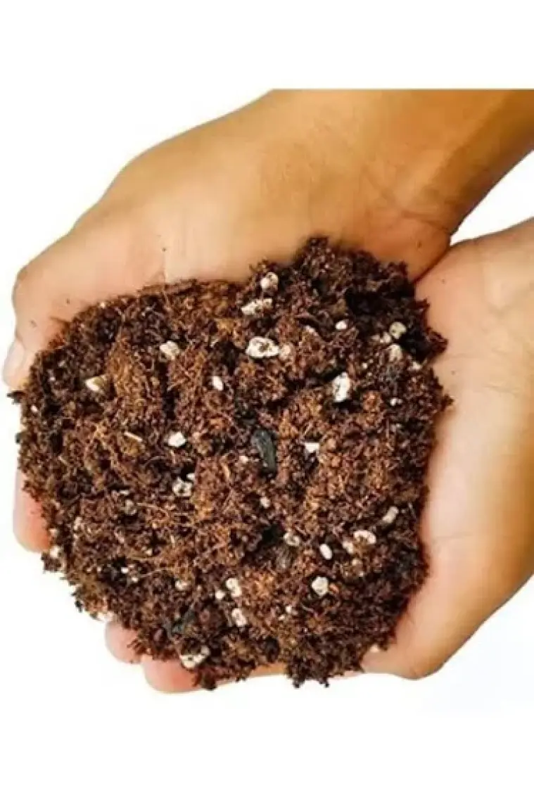 Ideal Torf Bitki Toprağı 10 lt