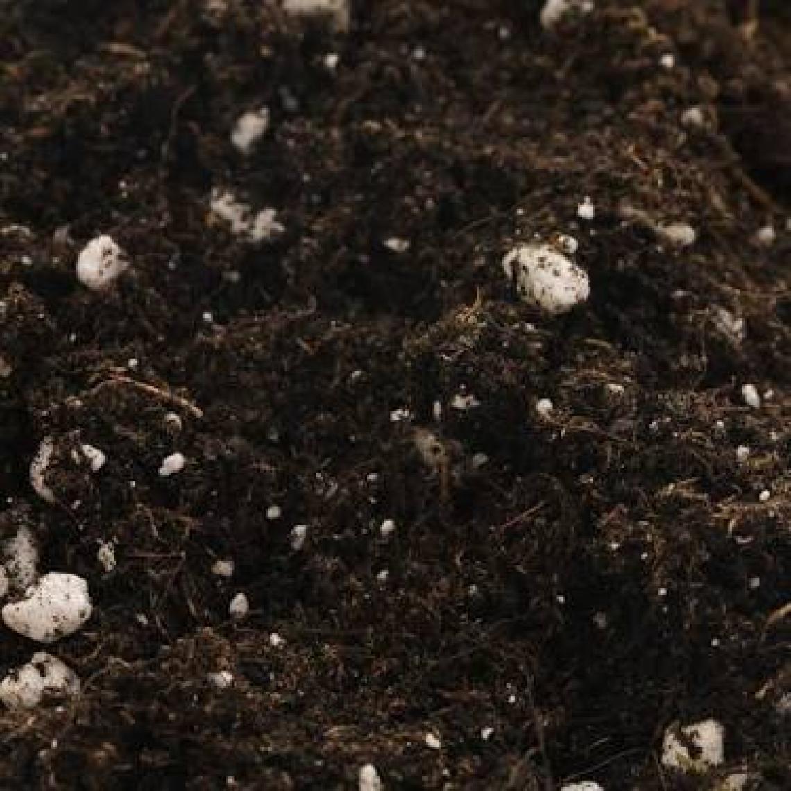 Biobizz All Mix Toprak - 20 lt