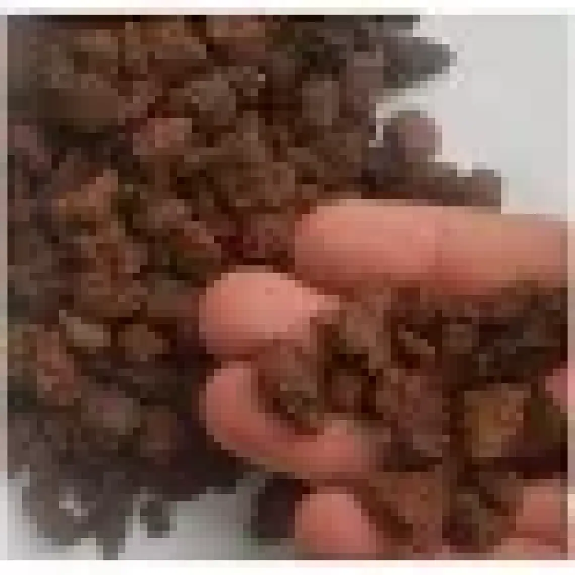 LS BOTANİK Kırmızı Pomza Taşı 3-8 Mm 3,5 Litre
