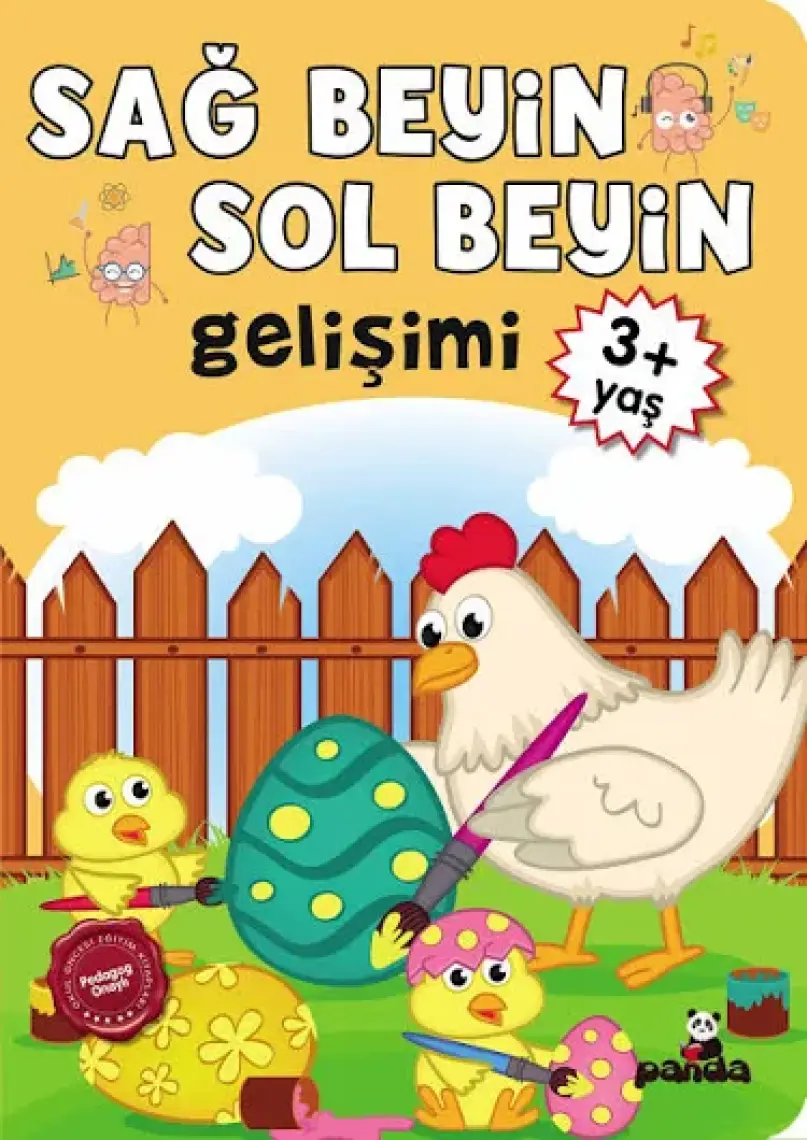3 Yaş Sağ Beyin Sol Beyin Gelişimi / / Kolektıf