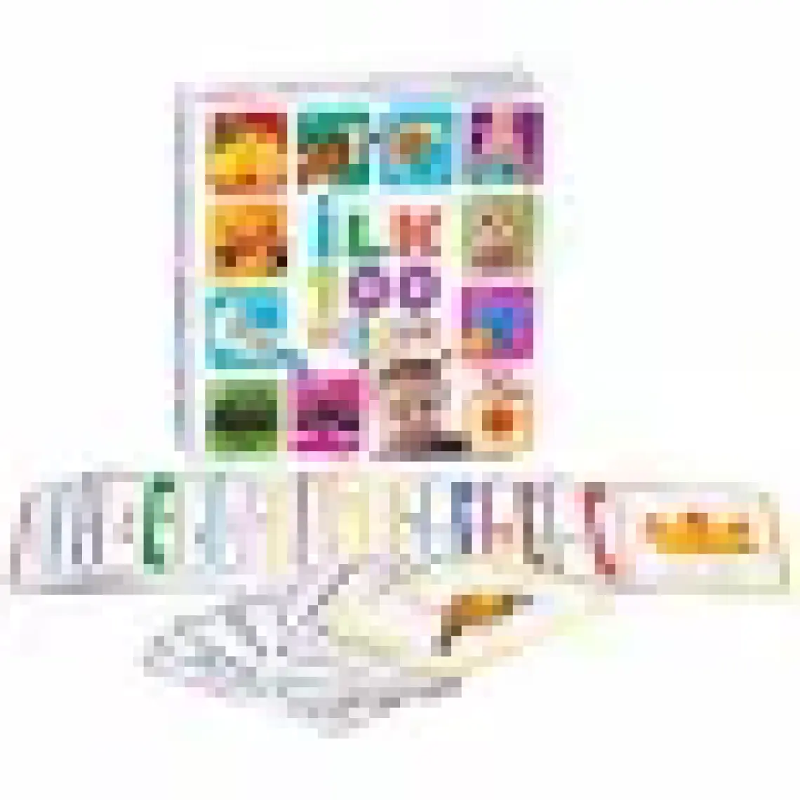 Diytoy İlk 100 Sözcük Flash Card