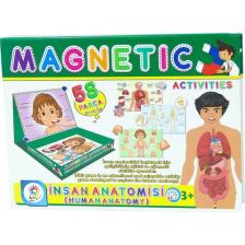 Manyetik Insan Anatomisi Aktivite