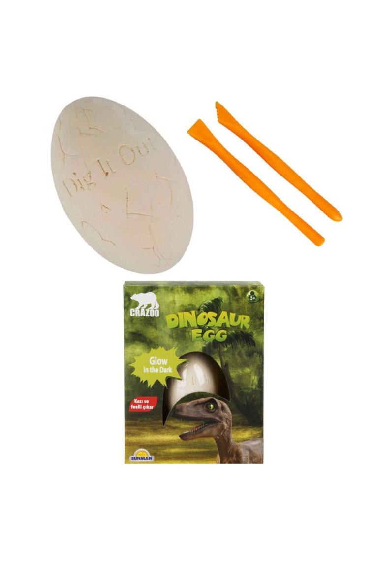 Crazoo Karanlıkta Parlayan Dinozor Yumurtası Kazı Seti