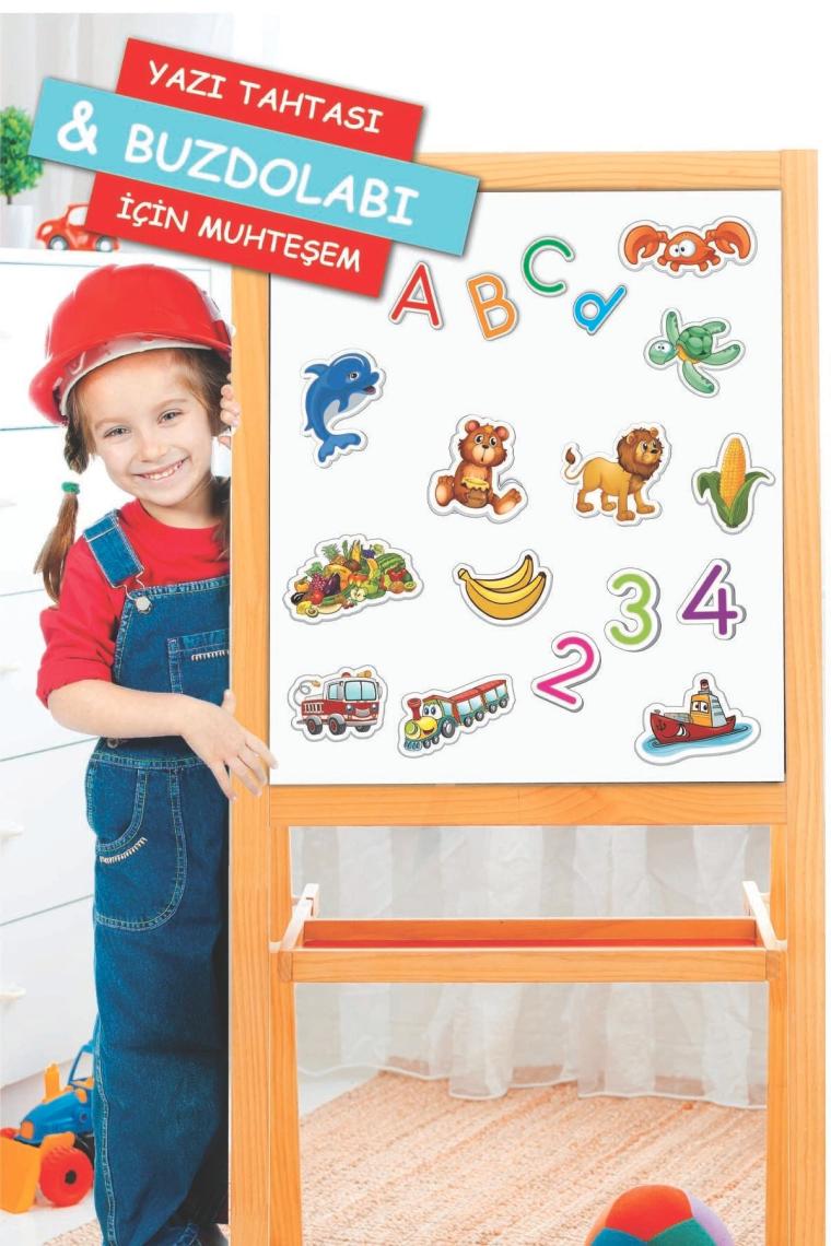 1 - 2 Yaş Manyetik Hayvanlar