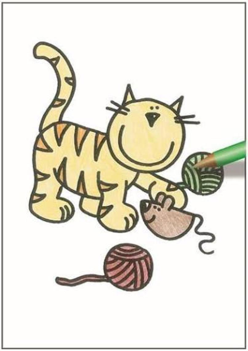 Galt Sihirli Resimler Hayvanlar (Magic Pictures Animals)