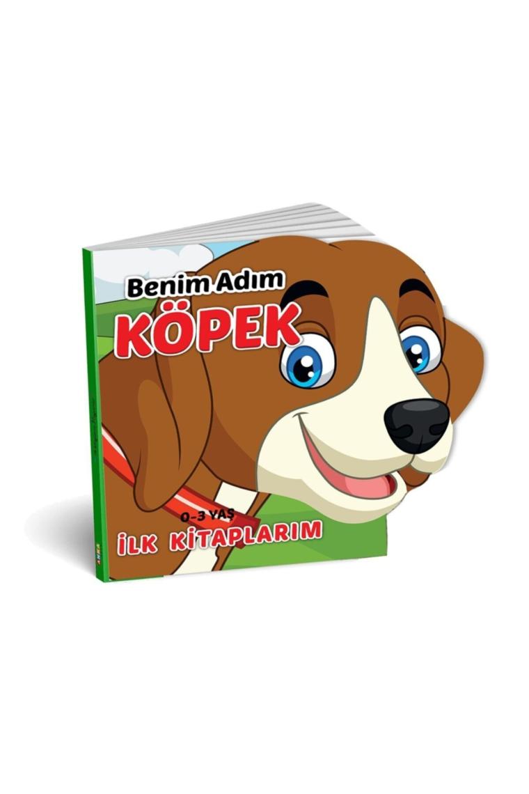 Diytoy Ben Kimim Hayvanlar 6'lı Set