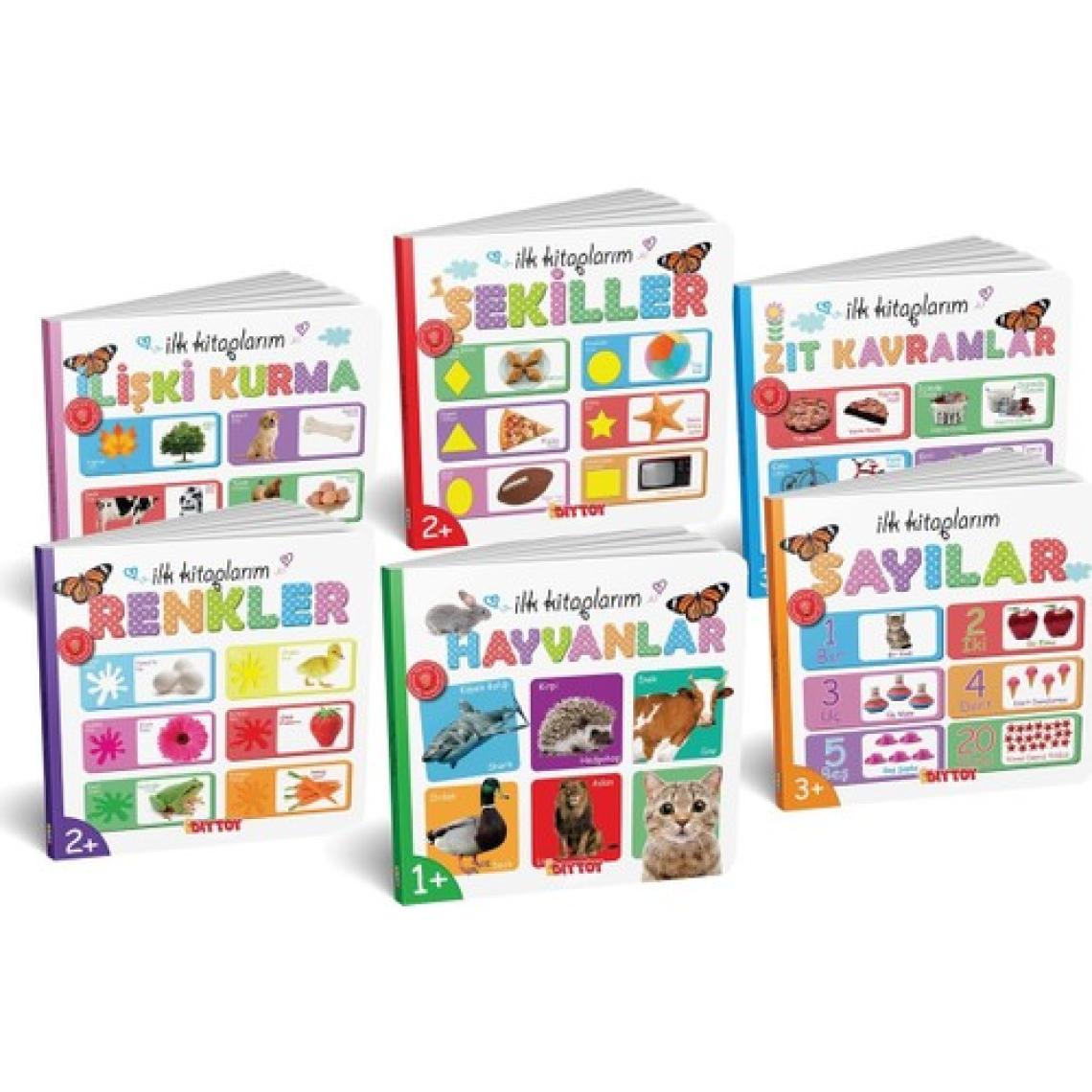 Diytoy İlk Eğitici Kitap Setim - 6 Parça Kalın Karton, Laminasyonlu ve Yuvarlak Kenarlı Erken Gelişim Kitapları