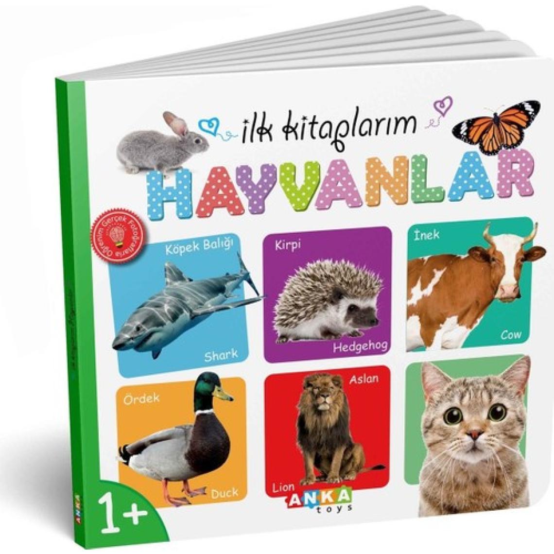 Diytoy İlk Eğitici Kitap Setim - 6 Parça Kalın Karton, Laminasyonlu ve Yuvarlak Kenarlı Erken Gelişim Kitapları