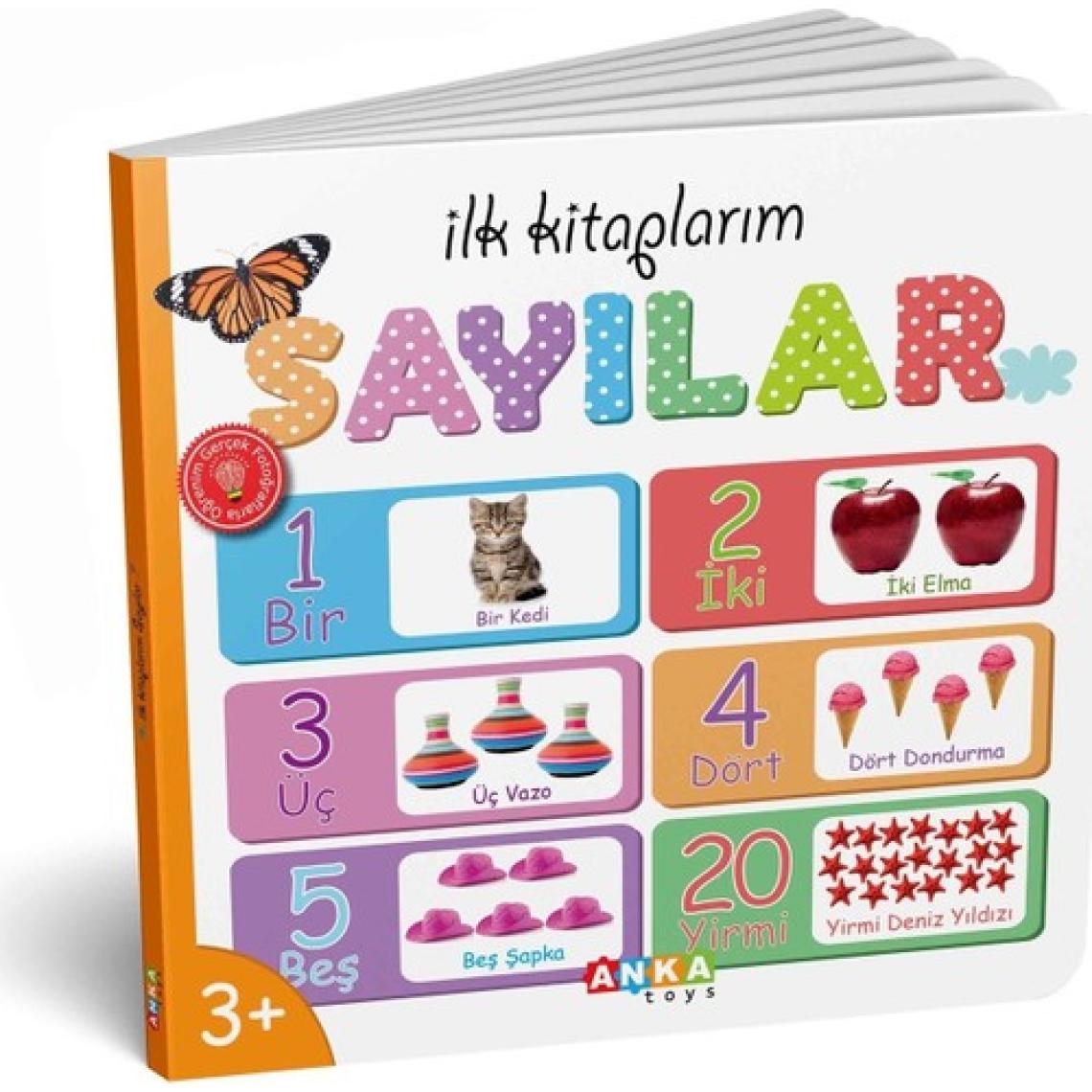 Diytoy İlk Eğitici Kitap Setim - 6 Parça Kalın Karton, Laminasyonlu ve Yuvarlak Kenarlı Erken Gelişim Kitapları