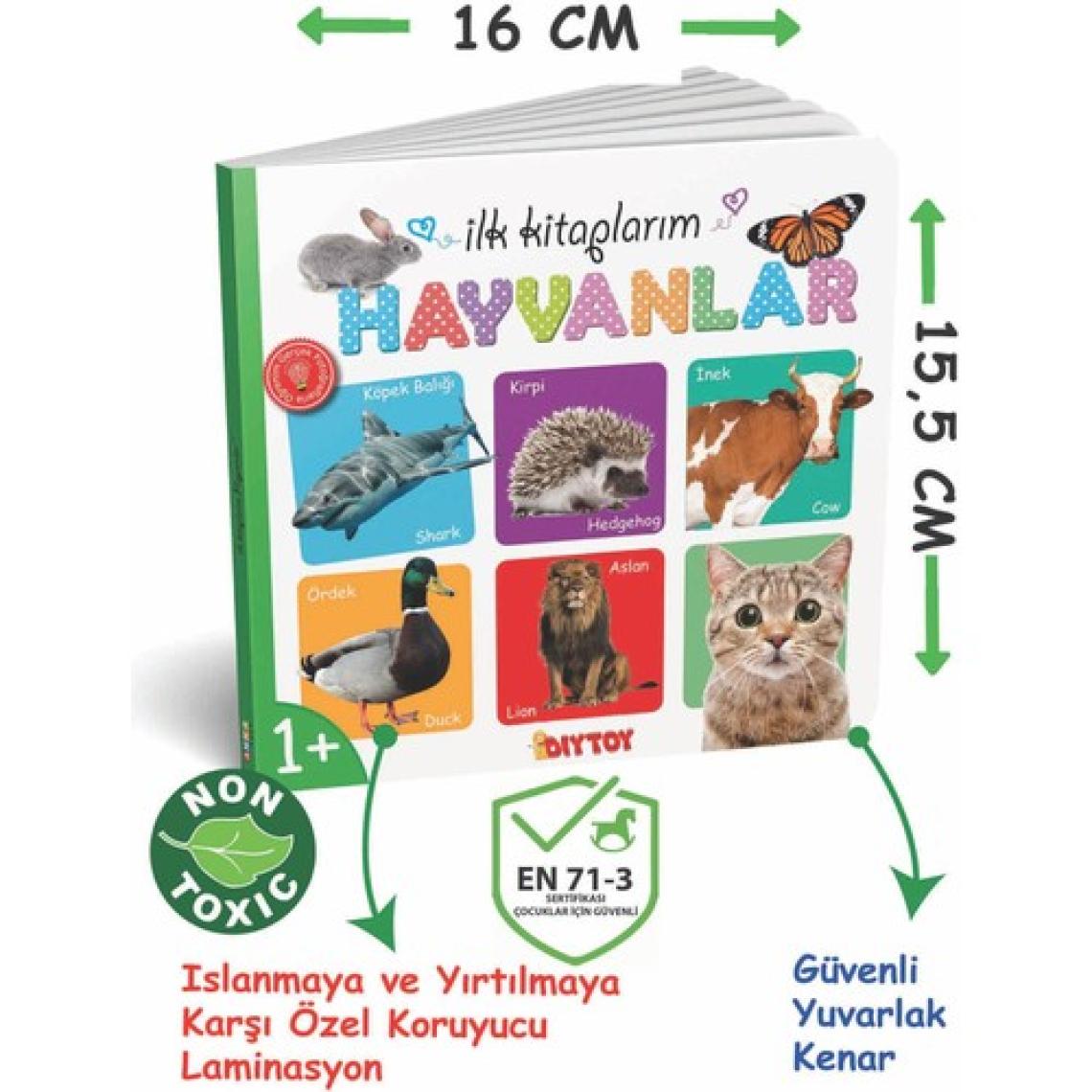 Diytoy İlk Eğitici Kitap Setim - 6 Parça Kalın Karton, Laminasyonlu ve Yuvarlak Kenarlı Erken Gelişim Kitapları