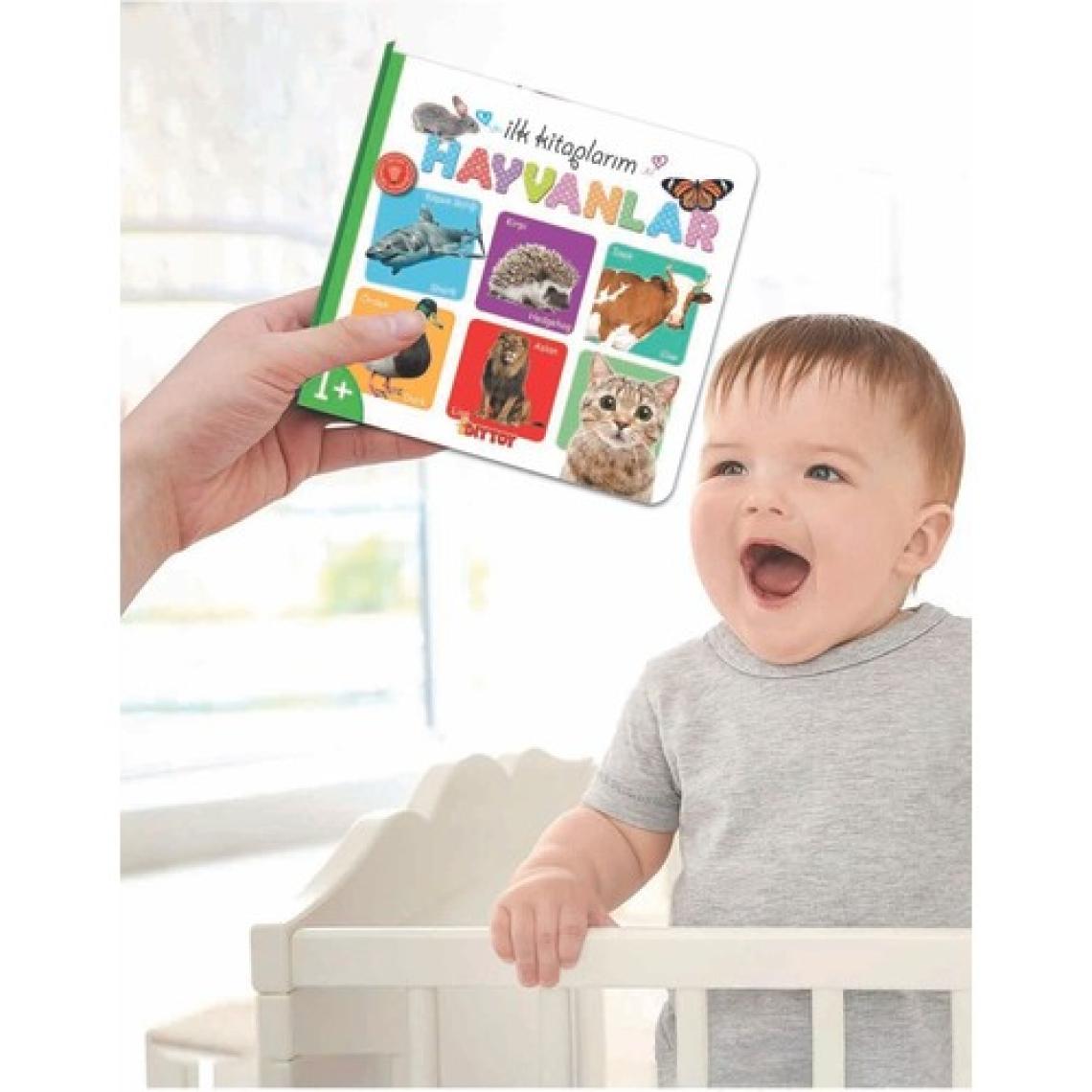 Diytoy İlk Eğitici Kitap Setim - 6 Parça Kalın Karton, Laminasyonlu ve Yuvarlak Kenarlı Erken Gelişim Kitapları