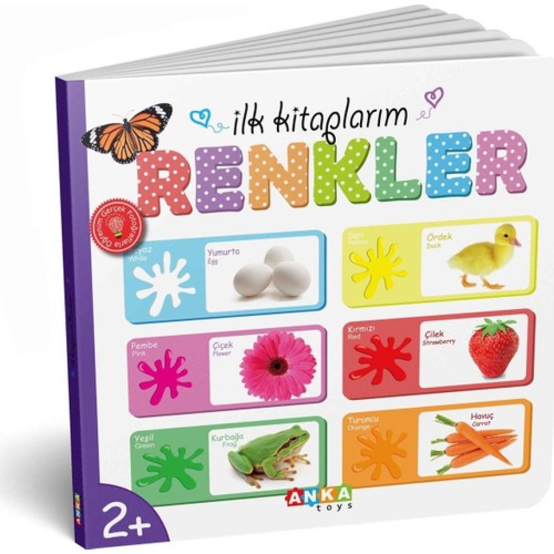 Diytoy İlk Eğitici Kitap Setim - 6 Parça Kalın Karton, Laminasyonlu ve Yuvarlak Kenarlı Erken Gelişim Kitapları