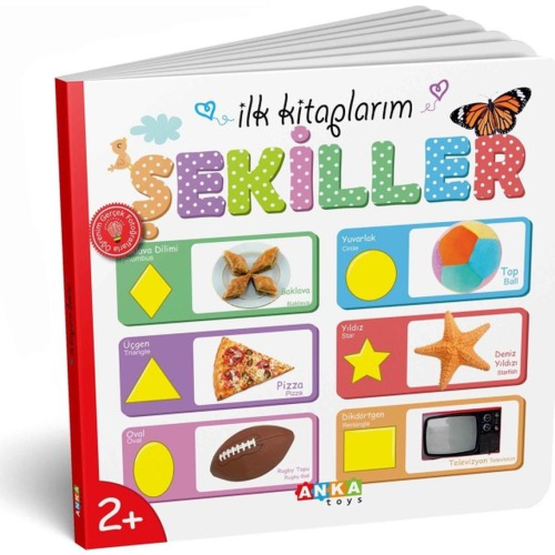 Diytoy İlk Eğitici Kitap Setim - 6 Parça Kalın Karton, Laminasyonlu ve Yuvarlak Kenarlı Erken Gelişim Kitapları