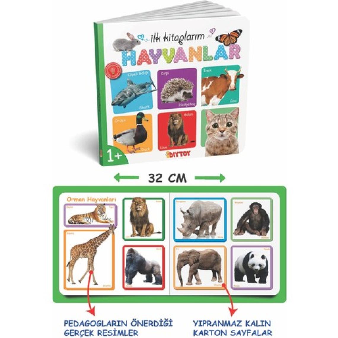 Diytoy İlk Eğitici Kitap Setim - 6 Parça Kalın Karton, Laminasyonlu ve Yuvarlak Kenarlı Erken Gelişim Kitapları