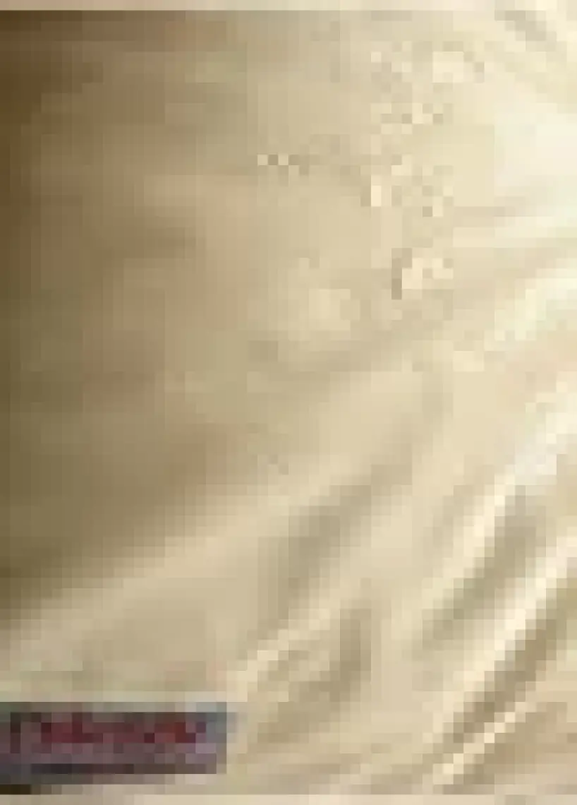 Dekosoy Arkalıklı Bank Minderi 110X50X5CM